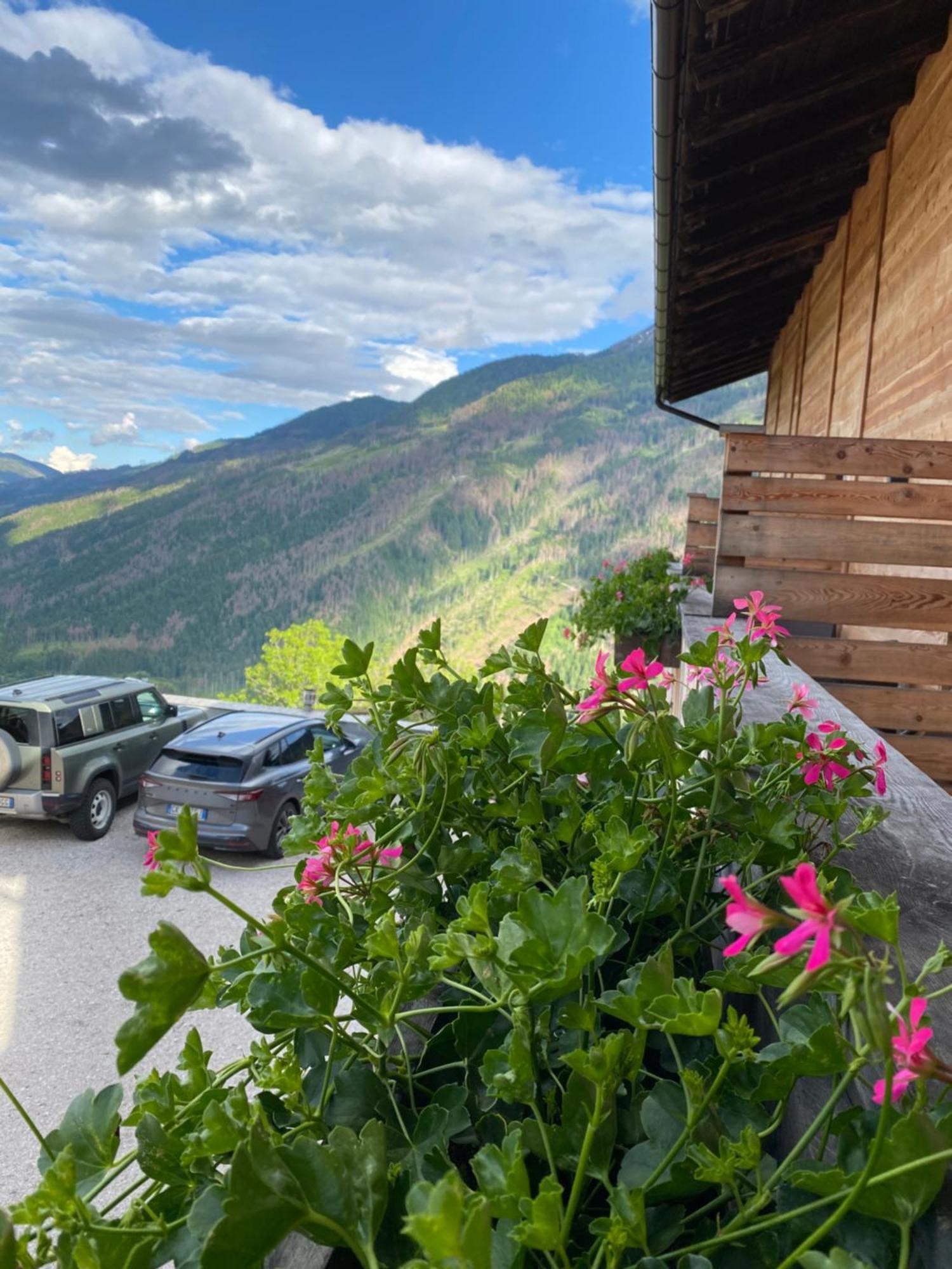Hotel Almhof San Candido Esterno foto